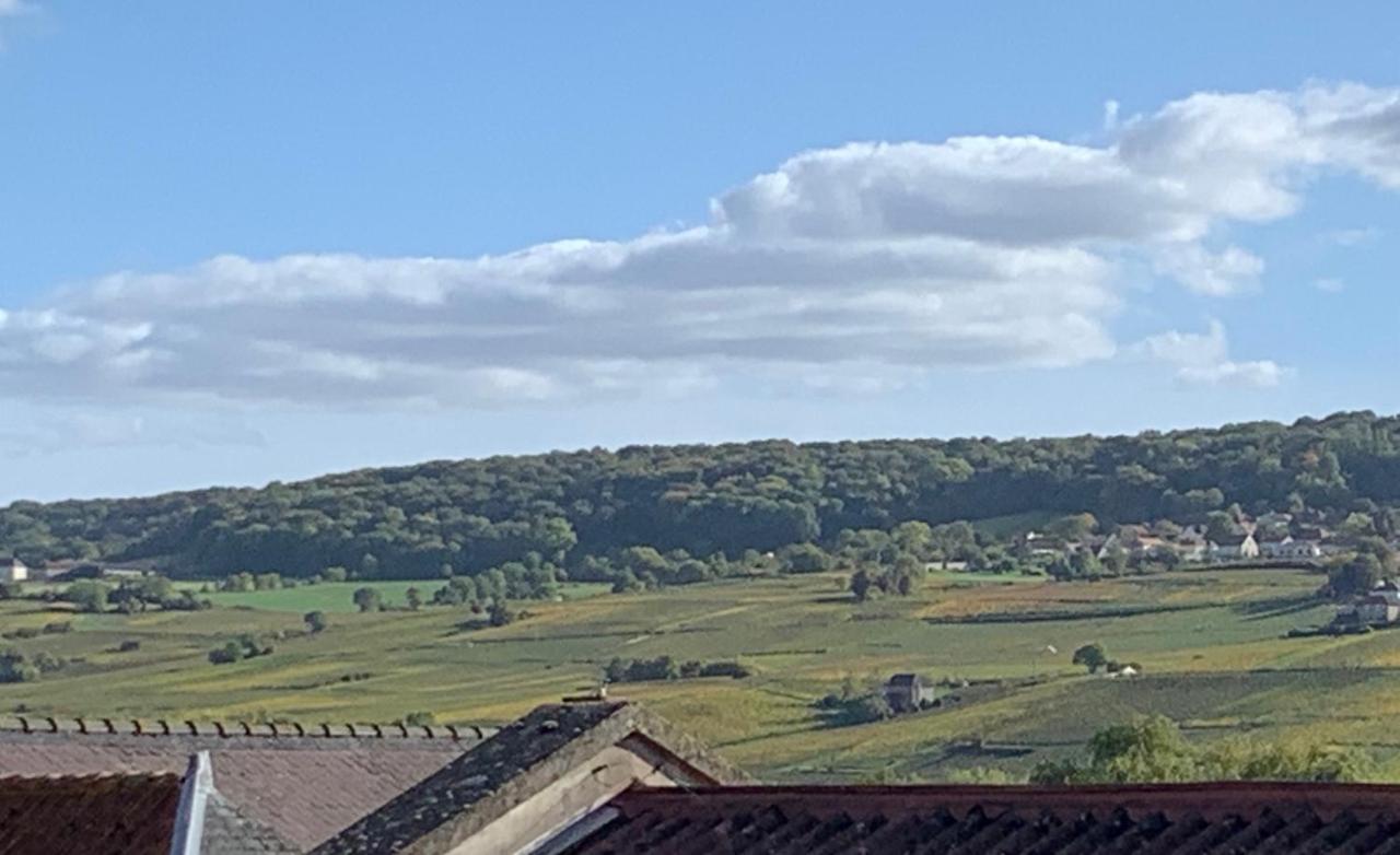 Le Claugi Villa Damery  Bagian luar foto